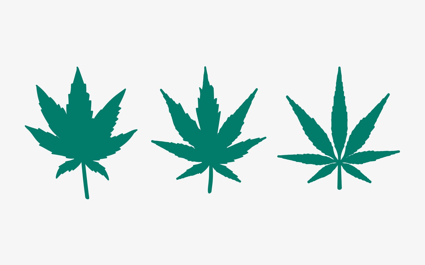 Outline of three marijuana leaves