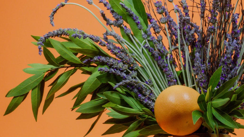 Flowers and an Orange